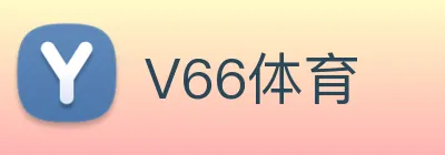 V66体育 logo